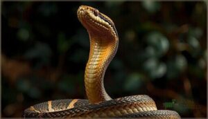 head elevation and rigid postures head elevation and rigid postures