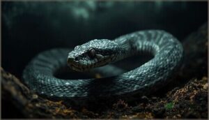 hissing and defensive strikes hissing and defensive strikes