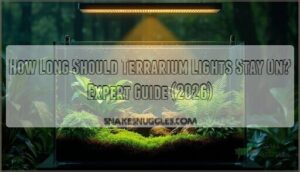 how long should terrarium lights stay on how long should terrarium lights stay on