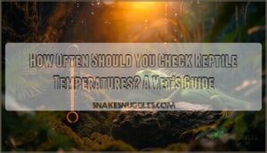 how often should you check reptile temperatures