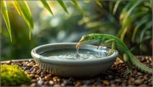 importance of hydration for pet reptiles importance of hydration for pet reptiles