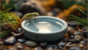 maintenance tips for reptile water dishes maintenance tips for reptile water dishes