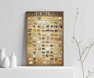 Metal Tin Retro Sign Pythons B0B9BDFJQD