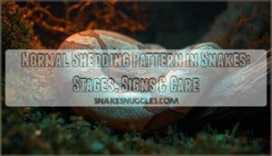 normal shedding pattern snakes