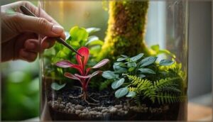 planting and arranging plants planting and arranging plants