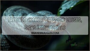 pre shed snake aggression pre shed snake aggression