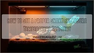 proper snake enclosure temperature gradient proper snake enclosure temperature gradient