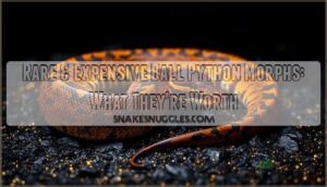 rare and expensive ball python morphs rare and expensive ball python morphs