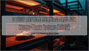 reptile heating pads for multi tank reptile rooms reptile heating pads for multi tank reptile rooms