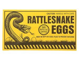 Rhode Island Novelty Joke Rattlesnake B00OSCI74W