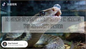 signs of respiratory issues signs of respiratory issues