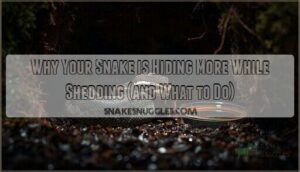 snake hiding more shedding