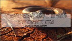 the most venomous snake in the world the most venomous snake in the world