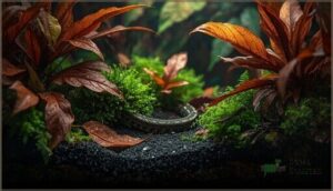 using leaf litter and moss for aesthetics and function using leaf litter and moss for aesthetics and function
