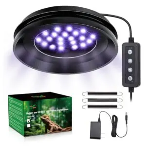 UVB Light for Reptiles with B0FH1PXQD4