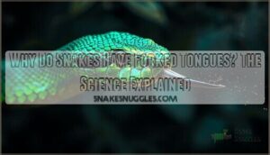 why do snakes have forked tongues why do snakes have forked tongues