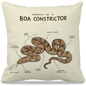 Boa Constrictor Snake Pillow Covers B0BJDJ3VS4