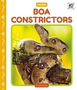 Boa Constrictors (Snakes) 1098247795