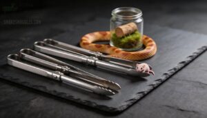 buying guide for apartment snake feeding tongs buying guide for apartment snake feeding tongs