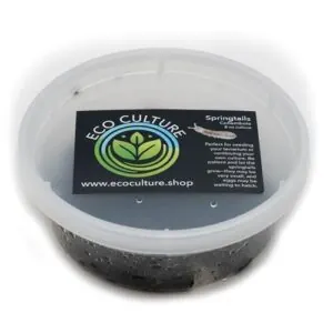 Eco Culture Live Springtails, 8 B0DL51181R