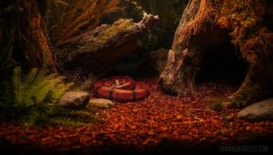 hides and visual barriers hides and visual barriers