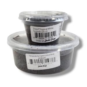 Josh's Frogs Dwarf Tropical White B07VVRXV7S