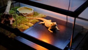 match mat size to tank match mat size to tank