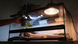 preventing blocked airflow at night preventing blocked airflow at night