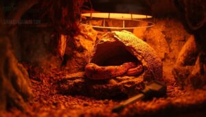 preventing burns with correct heat placement preventing burns with correct heat placement