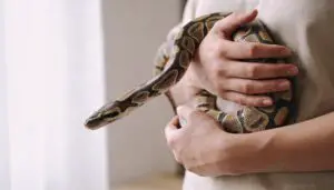 proper lifting and mid-body support proper lifting and mid-body support