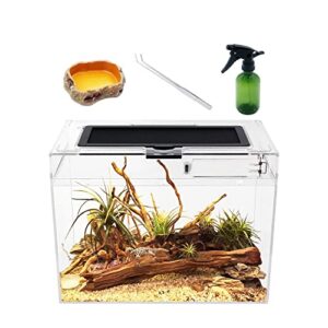 Reptile Growth Mini Reptile Terrarium,12" B08YRC4GBX