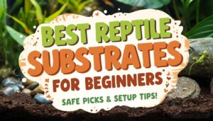 reptile substrates for beginners reptile substrates for beginners