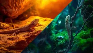 species-specific gradients vary by habitat and behavior species-specific gradients vary by habitat and behavior