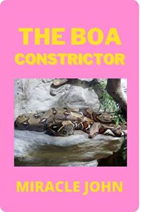 THE BOA CONSTRICTOR B0BBMMHJ8G