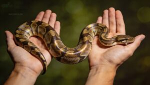 use a two-handed support technique use a two-handed support technique