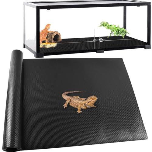 24 × 118 Large Reptile