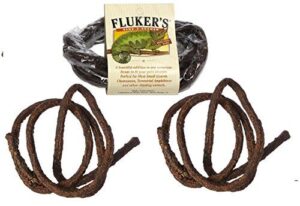 (3 Pack) Fluker Labs Small B01BDV1NC8
