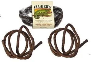 (3 Pack) Fluker Labs Small B01BDV1NC8