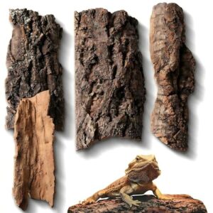 4pcs Reptile Bark Decor Wood,Natural B0DSP8ZPKP