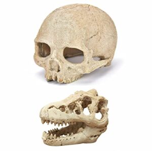 AWXZOM Desert Reptile Skull Fish B0BKZTH6W4