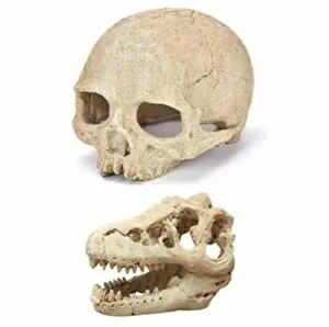 AWXZOM Desert Reptile Skull Fish B0BKZTH6W4