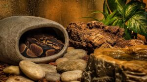 choose safe hide materials choose safe hide materials