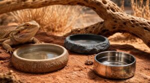 choosing safe bowl materials choosing safe bowl materials