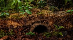 deep substrate embedding deep substrate embedding