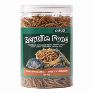 Dried Mealworm for Reptiles B0CN4CNYFG