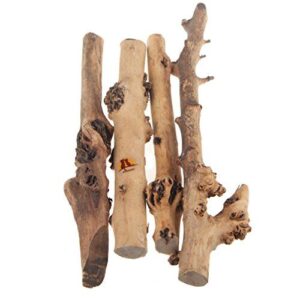 emours Reptile Décor Natural Forest B06XDR1RMR