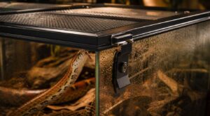 escape-proof lid escape-proof lid
