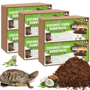 Halatool 6 Pack Coconut Fiber B0GFNB8KMB