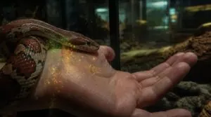 hand-feeding spreads germs hand-feeding spreads germs
