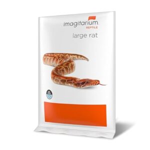 imagitarium Frozen Large Rat, Count B0CQVX2FZD